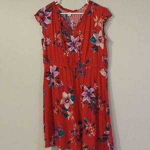 Red, floral, ruffle cap sleeve dress